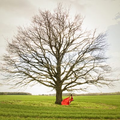 Das rote Kleid.